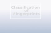 Classification of Fingerprints