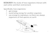 ECOLOGY:  the study of how organisms interact with each other and their environment