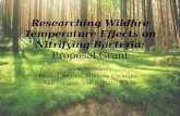 Researching Wildfire Temperature Effects on Nitrifying Bacteria: Proposal Grant