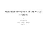 Neural Information in the Visual  System