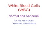 White Blood Cells (WBC) Normal and Abnormal