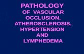 PATHOLOGY  OF  VASCULAR  OCCLUSION, ATHEROSCLEROSIS, HYPERTENSION  AND  LYMPHEDEMA