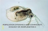 POPULATION DYNAMICS AND COMMUNITY ECOLOGY OF  ZOOPLANKTON II