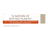 “A Nation of  Potted Plants”