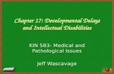 Chapter 17: Developmental Delays and Intellectual Disabilities