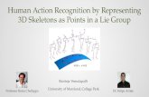 Human Action Recognition by Representing 3D Skeletons as Points in a Lie  Group
