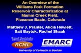 An Overview of the Williams Fork Formation  Reservoir Characterization at  Mamm  Creek Field,