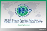 KDIGO Clinical Practice Guideline for  Management of Blood Pressure in CKD