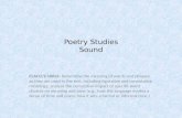 Poetry Studies Sound