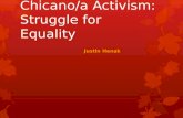 Chicano/a Activism: Struggle for Equality