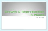 Growth & Reproduction in Plants