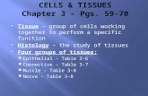 CELLS & TISSUES Chapter 3 – Pgs. 59-70