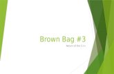 Brown Bag  #3