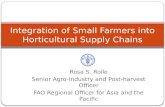 Integration of Small Farmers into Horticultural Supply Chains
