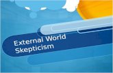 External World Skepticism