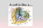 A cell is like a….