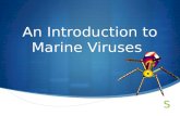 An Introduction to Marine Viruses