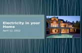 Electricity in your Home