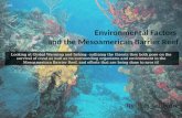 Environmental  Factors  and  the  Mesoamerican Barrier Reef