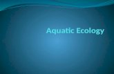 Aquatic Ecology