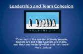 Leadership and Team Cohesion