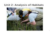 Unit 2: Analysis of Habitats