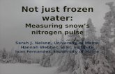 Not just frozen water: Measuring snow’s nitrogen pulse