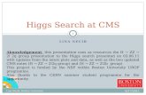 Higgs Search at  CMS