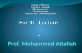 Prof. Mohammed  Attallah