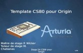 Template CS80 pour  Origin