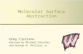 Molecular Surface Abstraction