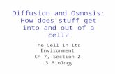 Diffusion and Osmosis: How does stuff get into and out of a cell?