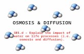 OSMOSIS & DIFFUSION