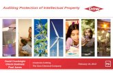 Auditing Protection of Intellectual Property