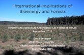 International Implications of  Bioenergy  and Forests