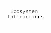 Ecosystem  Interactions