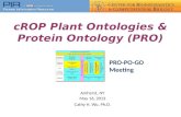 cROP  Plant  Ontologies  & Protein Ontology (PRO)