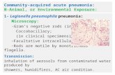 Community-acquired  acute  pneumonia:  B-Animal , or Environmental  Exposure: