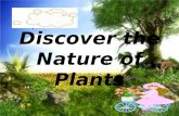 Discover the Nature of Plants