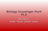 Biology Scavenger Hunt Pt.2