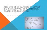 The Effect of Various pH levels on the Survival of Paramecium multimicro nucleatum