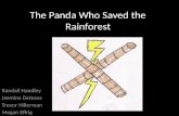 The Panda Who Saved the Rainforest
