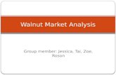 Walnut Market Analysis