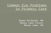 Common Eye Problems in Primary Care