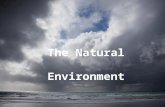 The Natural Environment