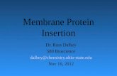 Membrane Protein Insertion