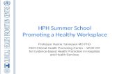 HPH Summer School Promoting  a  Healthy Worksplace