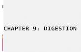 Chapter 9:  digestion