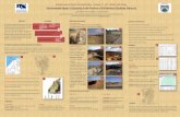 Environmental Impact of Quarrying in the Province of Sidi Bennour (Doukkala, Morocco)