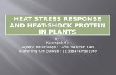 HEAT stresS  RESPONSE  and Heat-shock Protein IN PLANTS